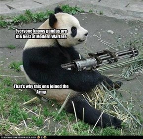Pandas in the Military