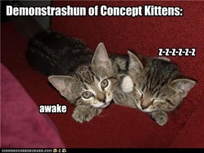 Demonstrashun of Concept Kittens: