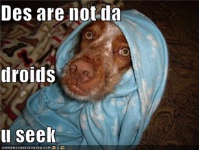 Des are not da droids u seek