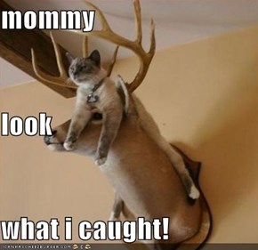 mommy look what i caught!