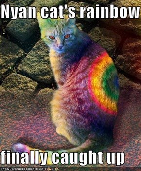 Nyan cat's rainbow  finally caught up
