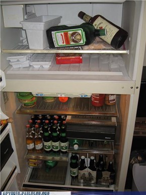 Just Moved In, Fridge Is All Stocked