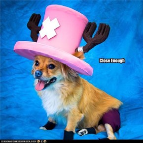 Tony Tony Chopper