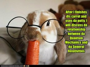 After I finishes dis carrot and uses da potty, I will discuss da relationship between da Quantum Mechanics and da General Relativities