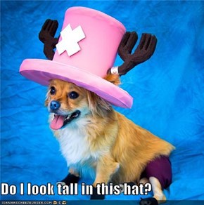 Do I look tall in this hat?