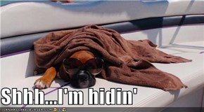 Shhh...I'm hidin'