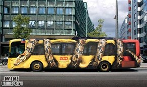 Bus Ad WIN