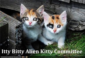 Itty Bitty Alien Kitty Committee