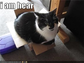 i am hear