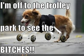 I'm off to the trolley park to see the BITCHES!!