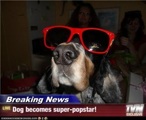 Breaking News - Dog becomes super-popstar!