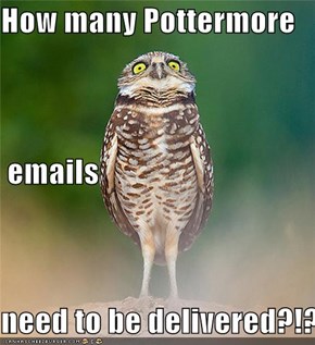 How many Pottermore  emails need to be delivered?!?