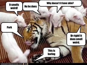 Smells Weird