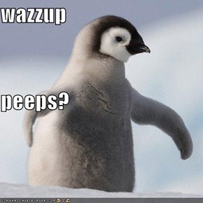 wazzup peeps?