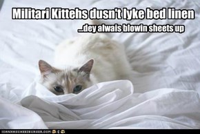 Militari Kittehs dusn't lyke bed linen