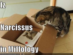 Iz Narcissus in Miffology