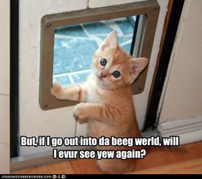But, if I go