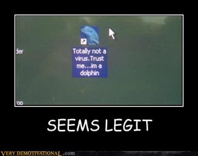 SEEMS LEGIT