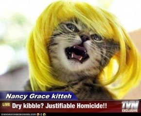 Nancy Grace kitteh - Dry kibble? Justifiable Homicide!!