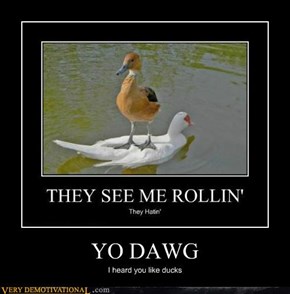 YO DAWG