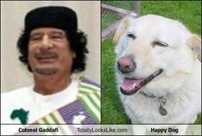 Colonel Gaddafi Totally Looks Like Happy Dog