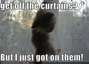 get off the curtains?  But I just got on them!