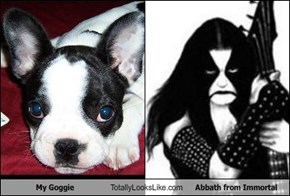 My Goggie Totally Looks Like Abbath from Immortal