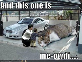 And this one is  me-owdi.....