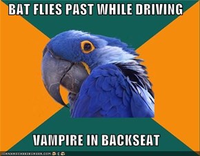 BAT FLIES PAST WHILE DRIVING  VAMPIRE IN BACKSEAT