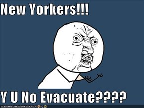 New Yorkers!!!  Y U No Evacuate????