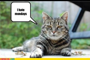 hate mondays