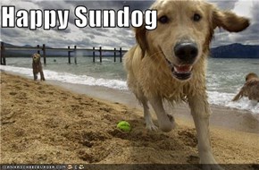 Happy Sundog