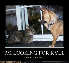 I'M LOOKING FOR KYLE