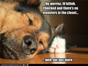 No worriez, lil kitteh. Checked and there's no monsters in the closet...