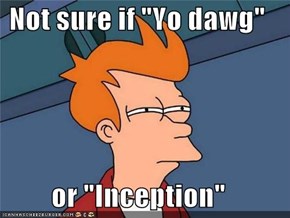 Not sure if "Yo dawg"  or "Inception"