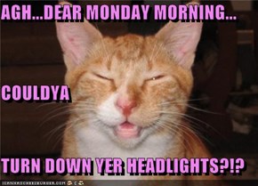 AGH...DEAR MONDAY MORNING... COULDYA TURN DOWN YER HEADLIGHTS?!?