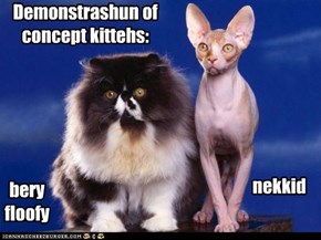 Demonstrashun of concept kittehs:
