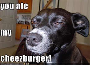 you ate  my cheezburger!