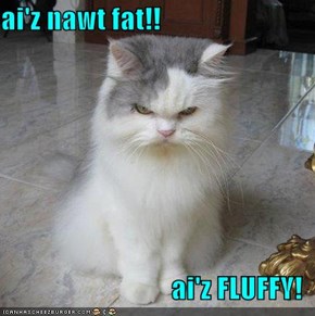ai'z nawt fat!!  ai'z FLUFFY!