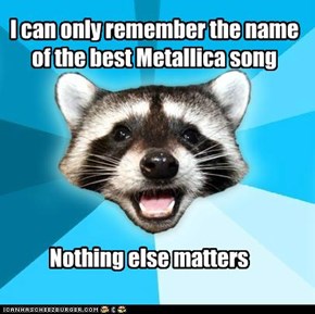 I can only remember the name of the best Metallica song