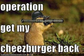 operation get my cheezburger back
