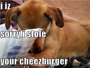 i iz  sorry i stole your cheezburger