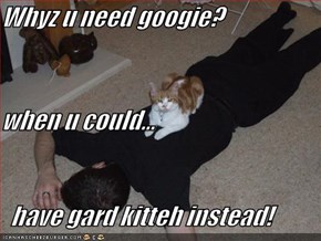 Whyz u need googie? when u could...   have gard kitteh instead!