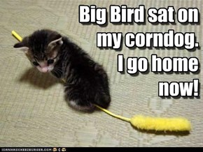 Big Bird sat on my corndog.  I go home now!