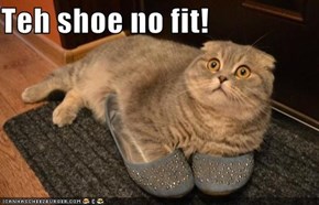 Teh shoe no fit!