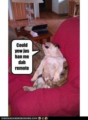 Could yew jus han me dah remote?