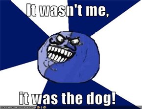 It wasn't me,  it was the dog!