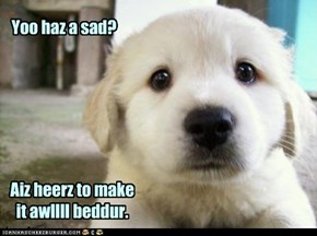 Puppy comfort