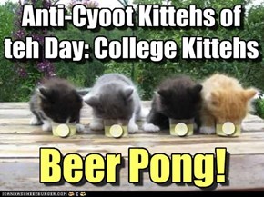 Anti-Cyoot Kittehs of teh Day: College Kittehs playing Beer Pong! :P