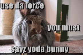 use da force you must sayz yoda bunny